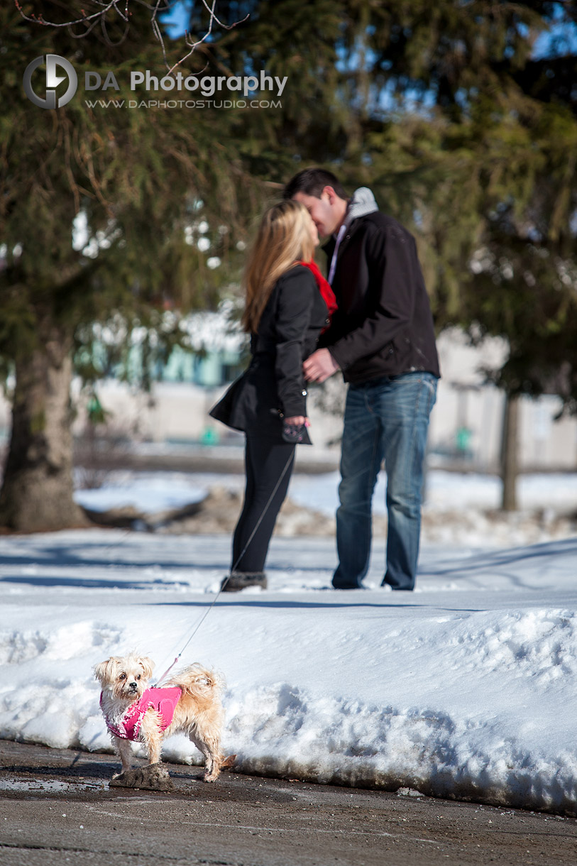 Winter Engagement Photographer in Hamilton - Winter engagement by DA Photography