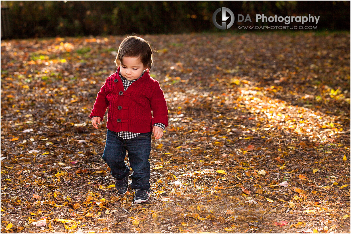 Fall Pictures in Guelph