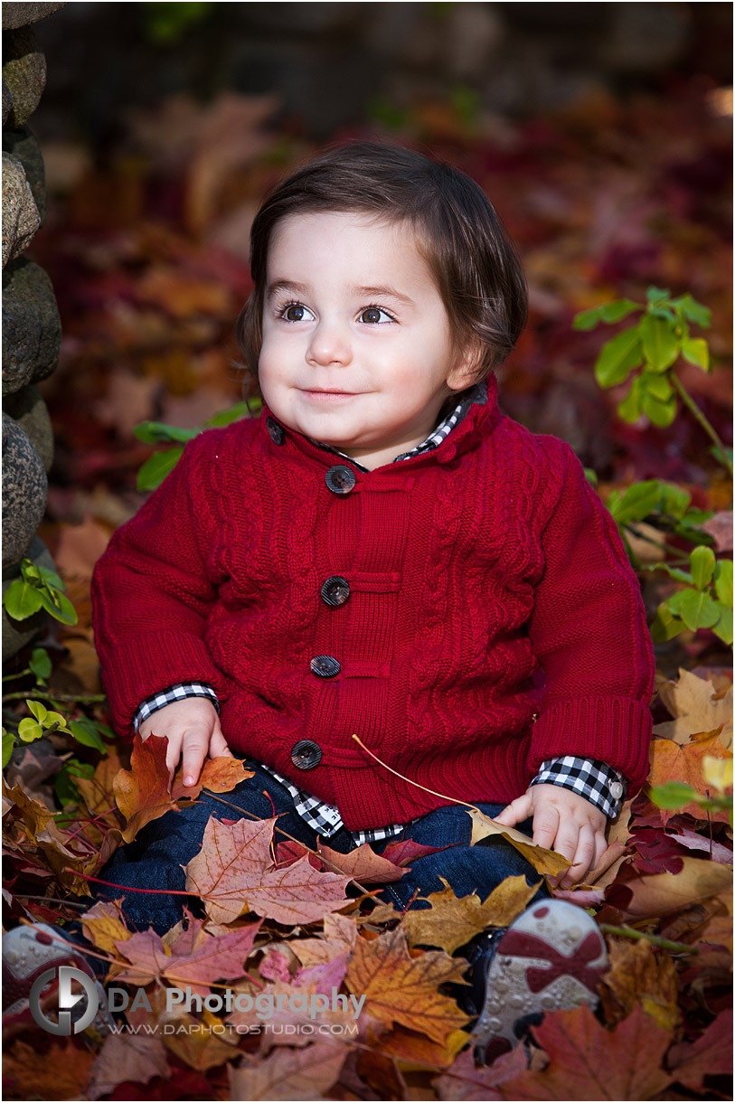 Fall Picture in Guelph