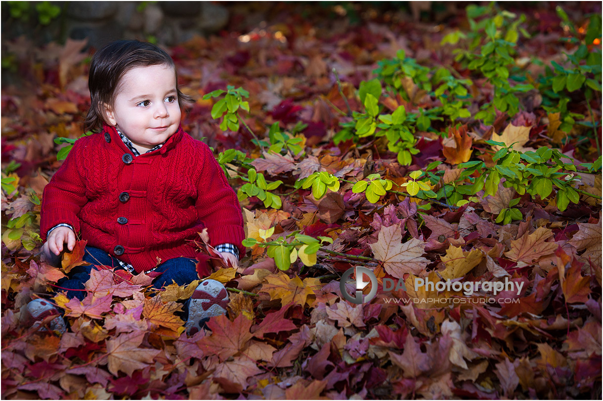 Guelph Children Photography in Fall