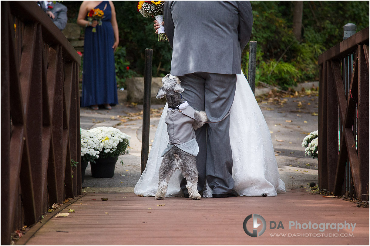 Outdoor Wedding In Grimsby