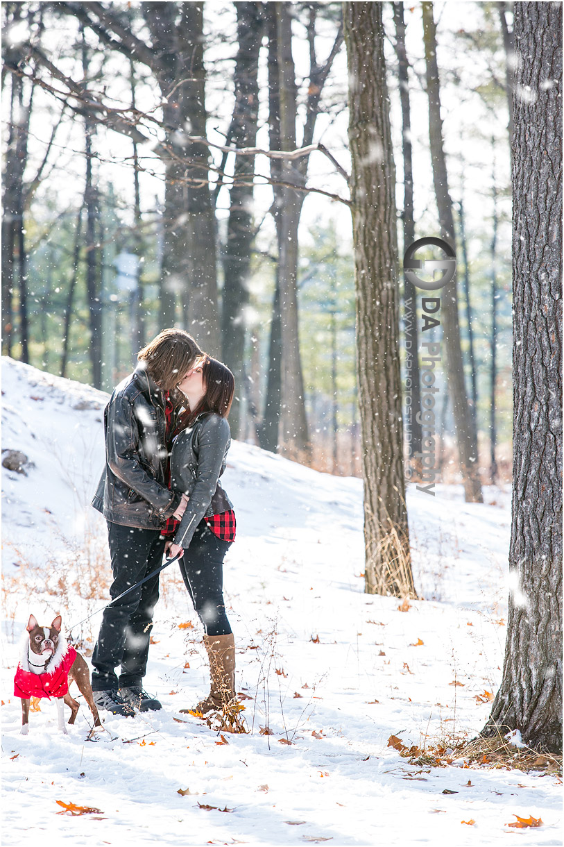 Winter Arboretum Engagement Photographer in Guelph