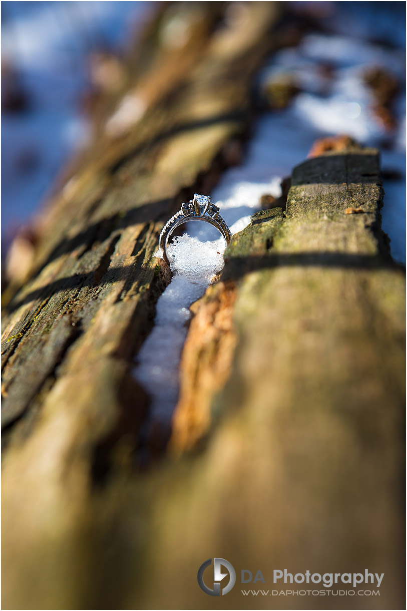 Guelph Engagement Photography