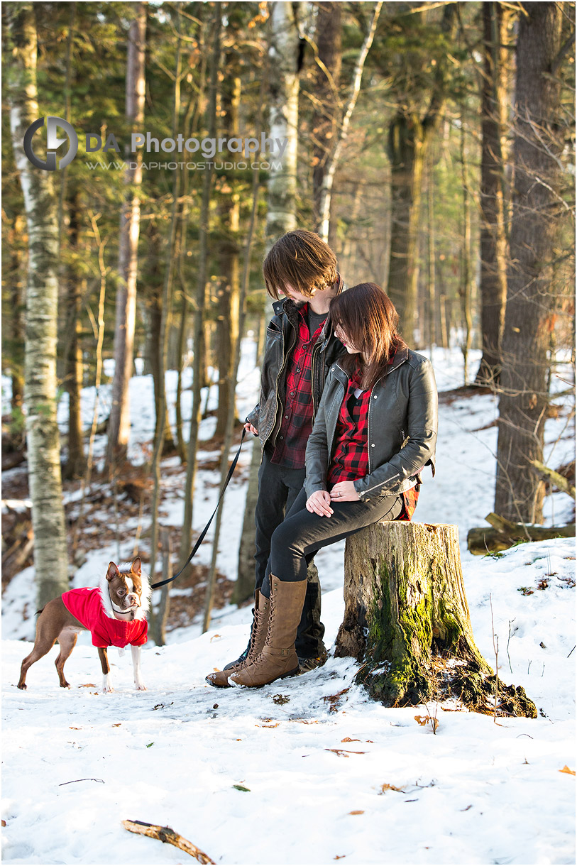 Photographs at Barrie Arboretum