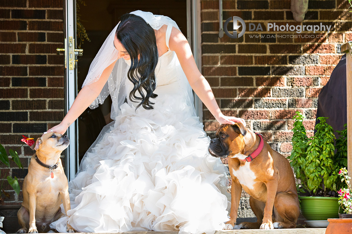 Best Wedding Pictures in Stoney Creek