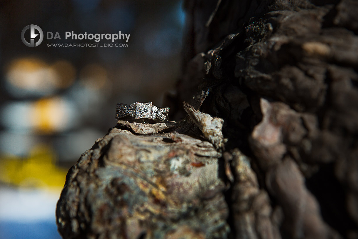 Engagement Ring Photos at Etobicoke Centennial Park