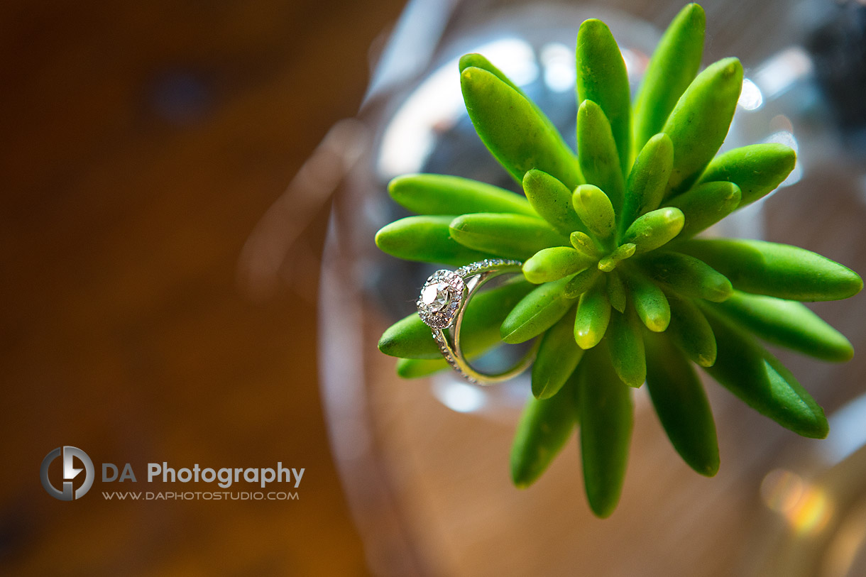 Mississauga Wedding Photographers