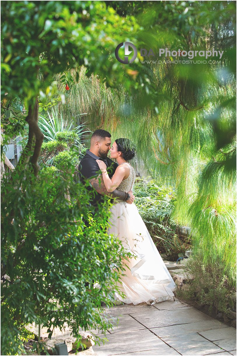 Engagement Photos at Royal Botanical Garden