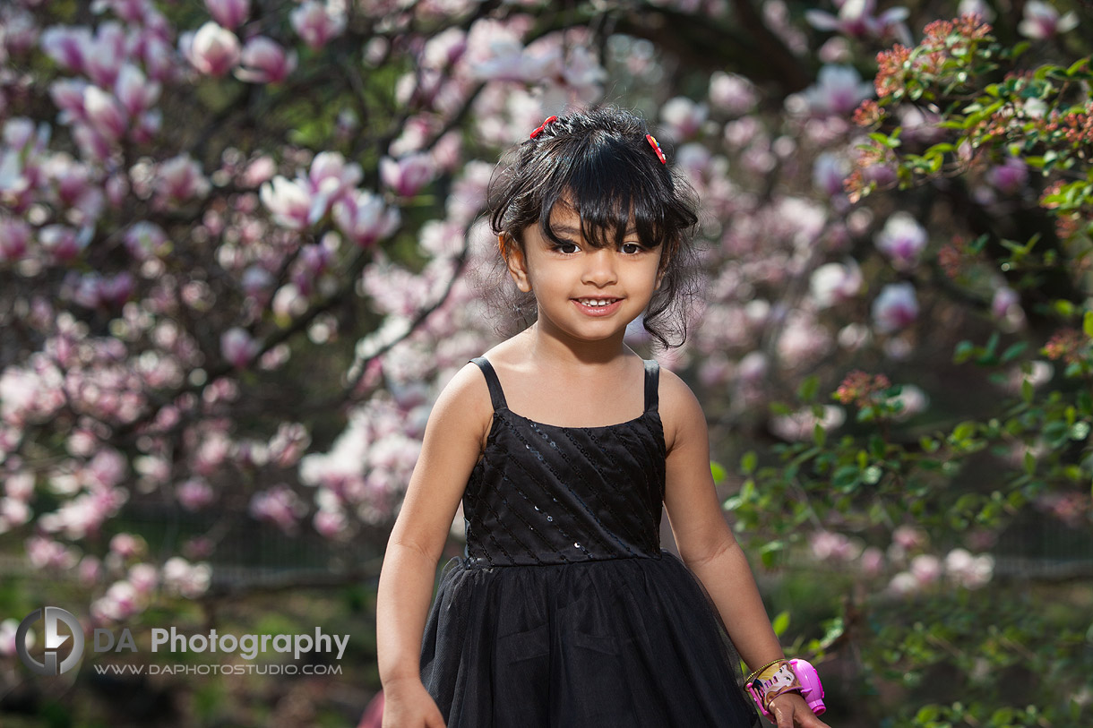 Cherry blossom photo