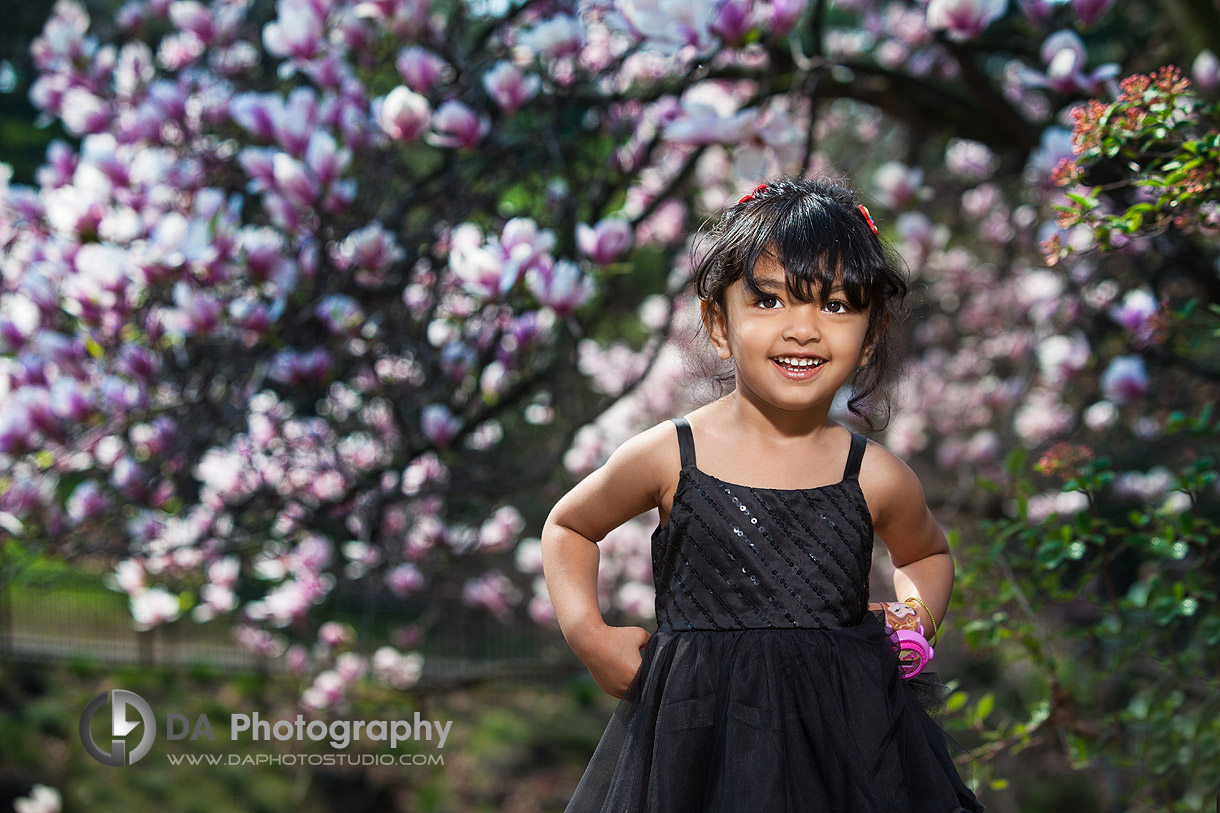 High Park Cherry blossom photos