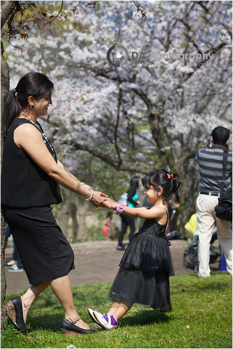 Family Photographers at High Park