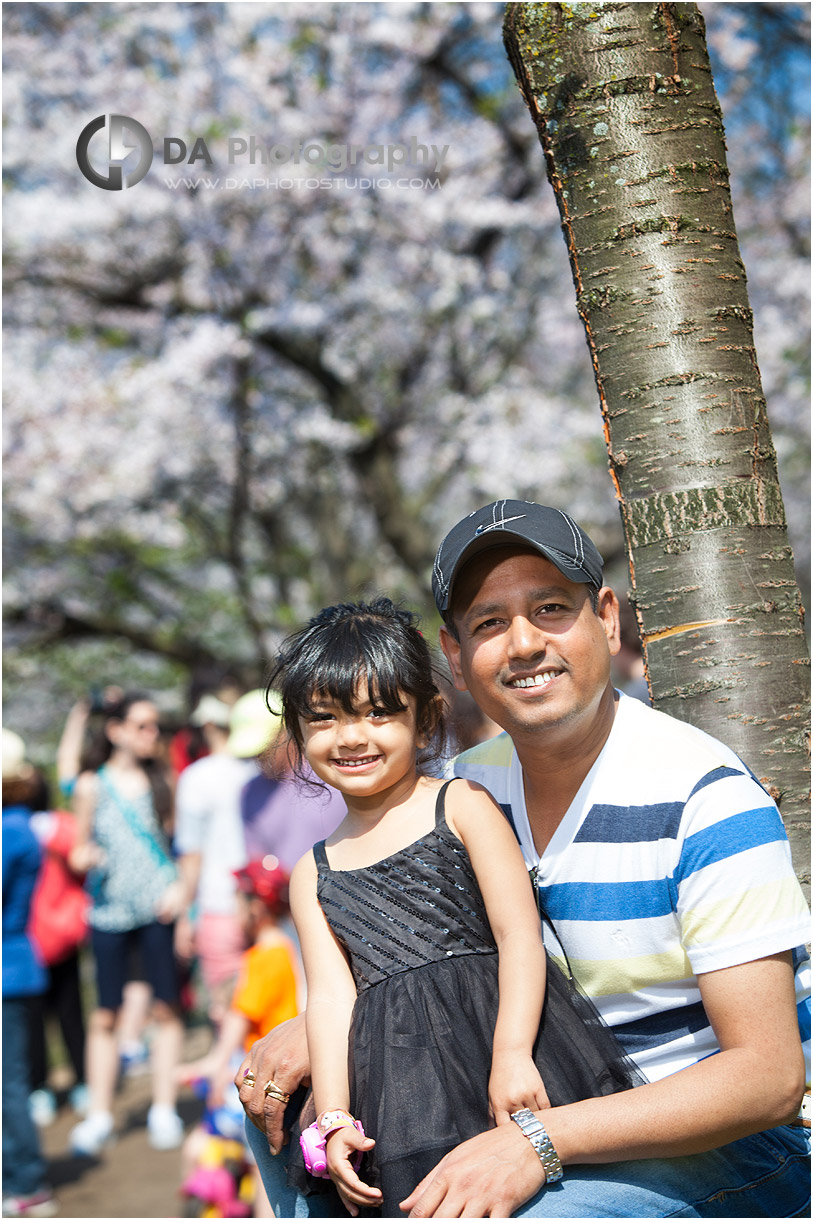 Cherry blossom photo in Toronto
