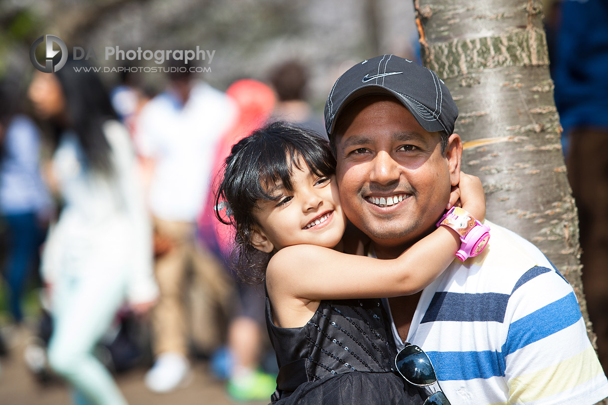 Cherry blossom photos in Toronto