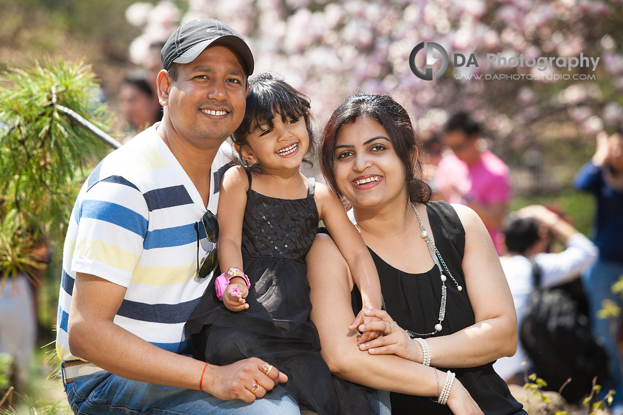 Cherry blossom photos at High Park