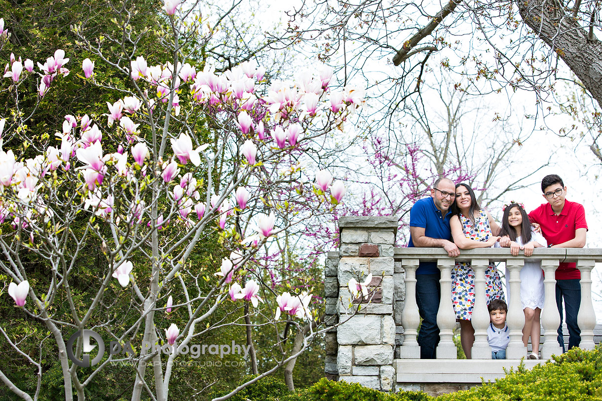 Paletta Mansion Spring Session