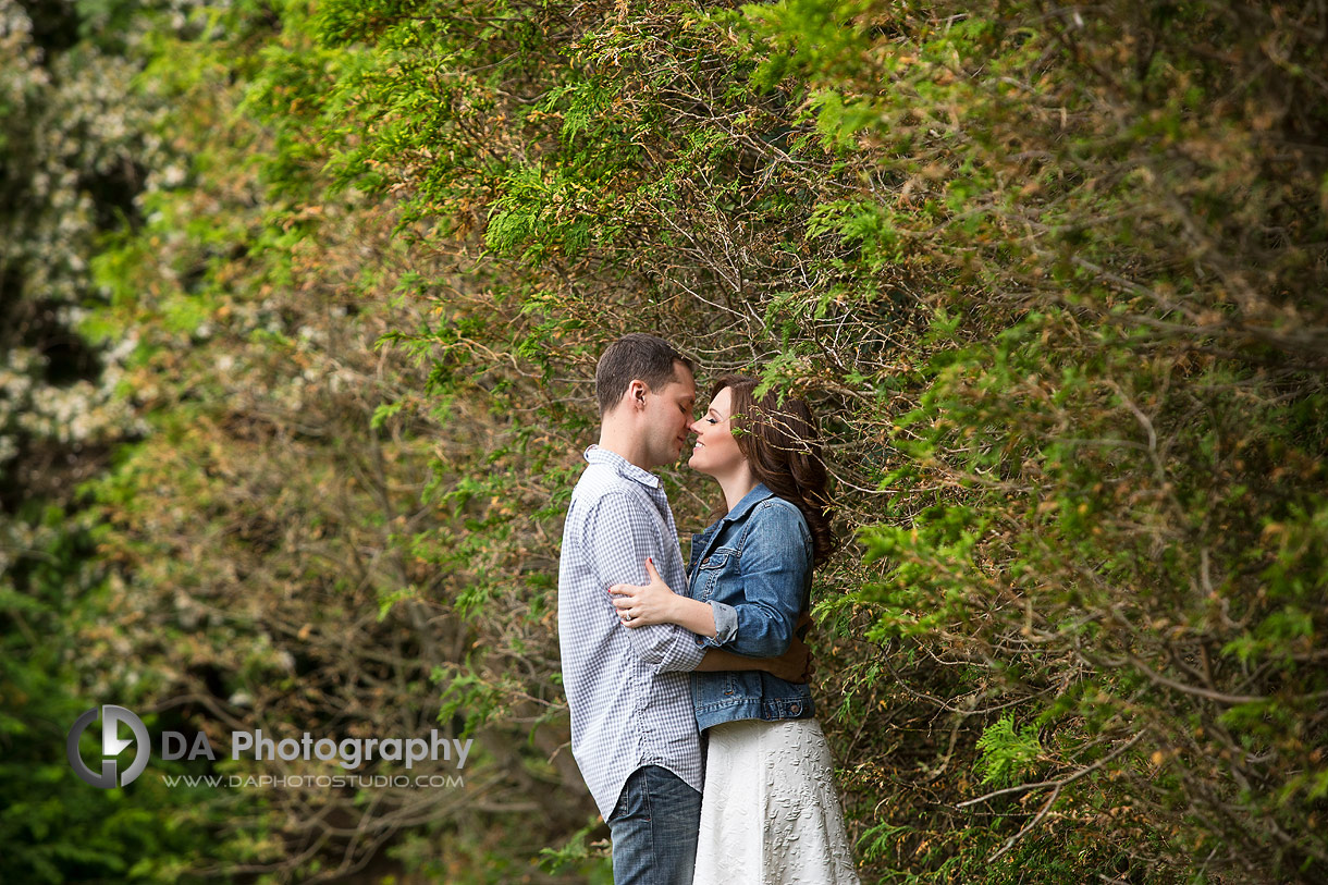 Oakville Engagement Photos in the forest