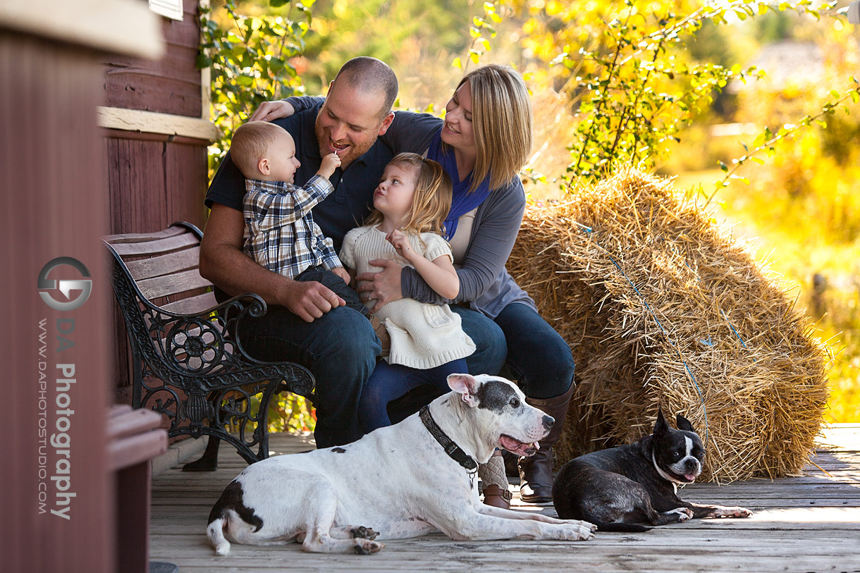 Family Session with dogs in Sutton