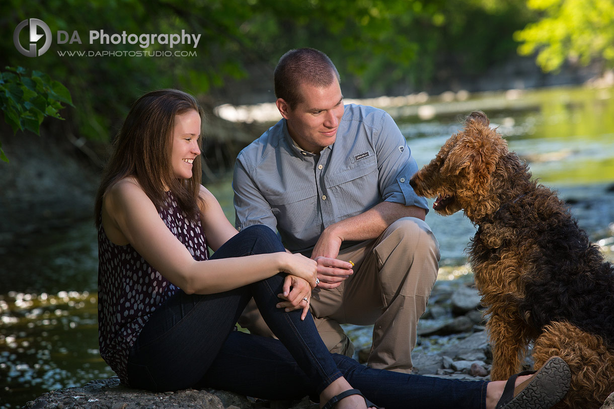 Top Photographers for Pets in Guelph