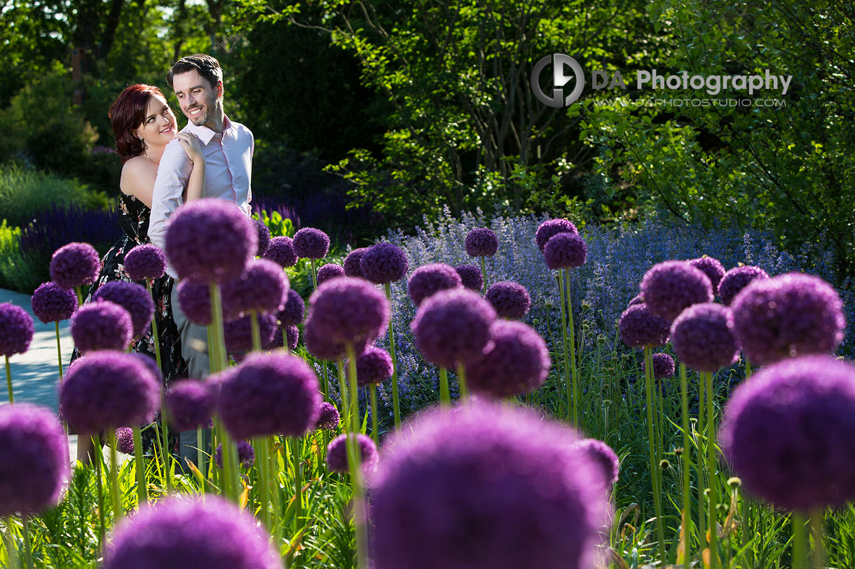 Rock Garden engagement