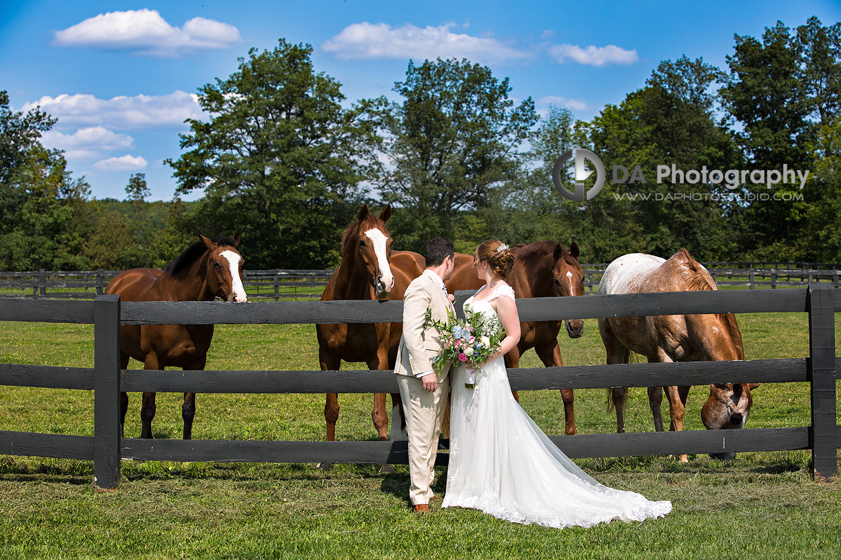 Photograph at Parish Ridge Stables