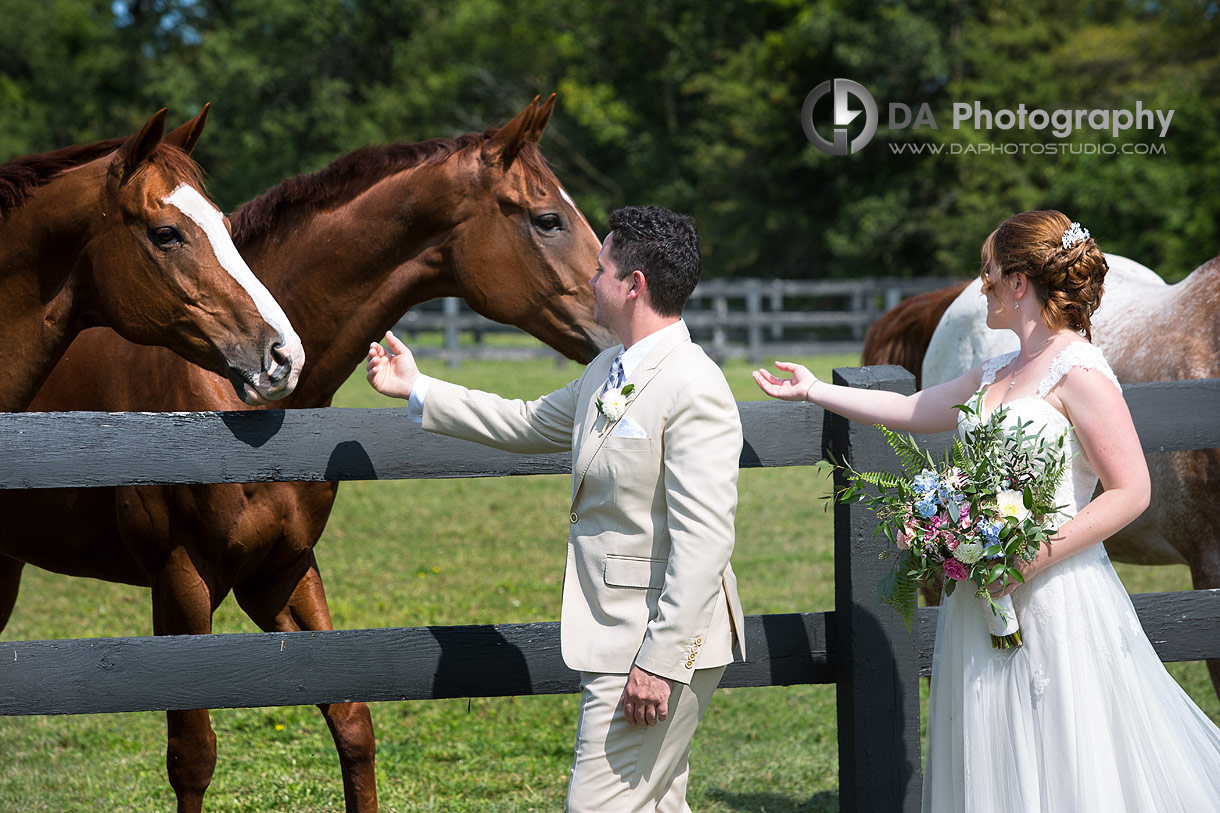 Parish Ridge Stables Wedding Photographers