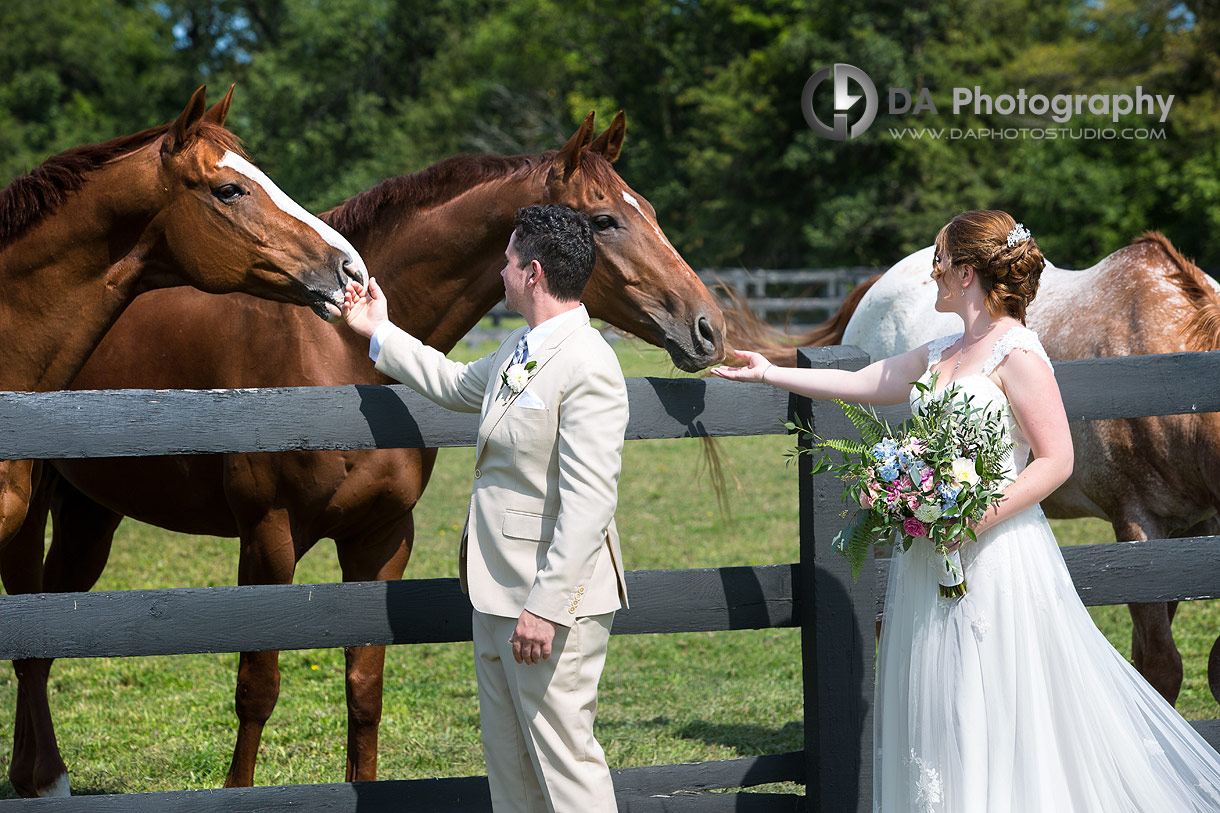 Parish Ridge Stables Wedding