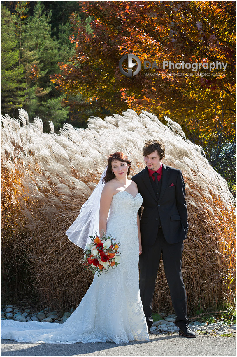 Best Wedding Photographer in Orangeville