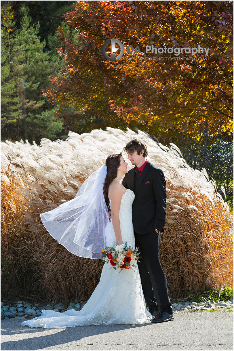 Wedding Photography at Hockley Valley
