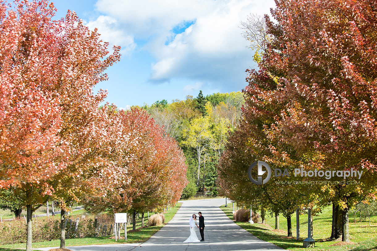 Wedding Photo at Hockley Valley in Orangeville