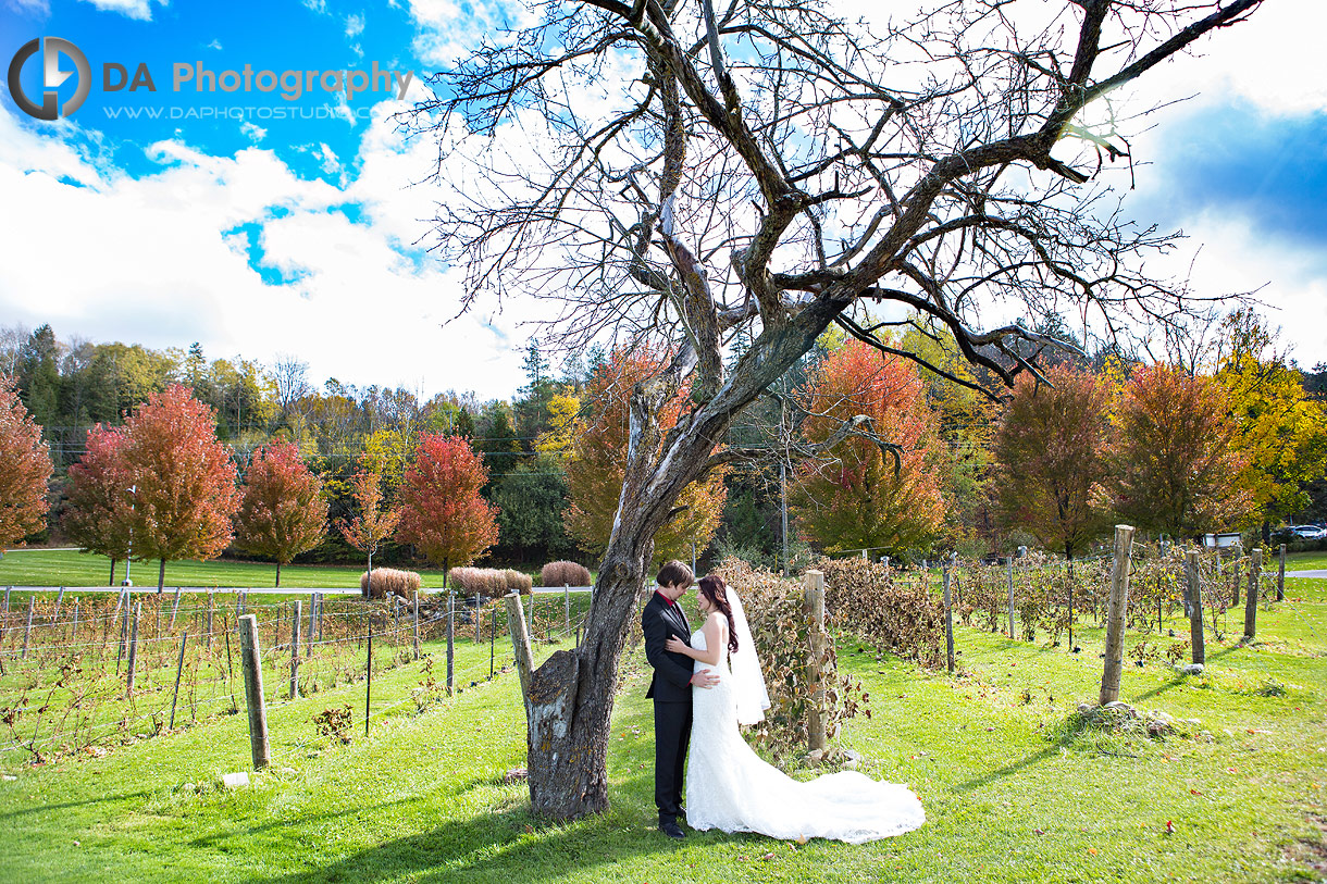 Hockley Valley Wedding Photo