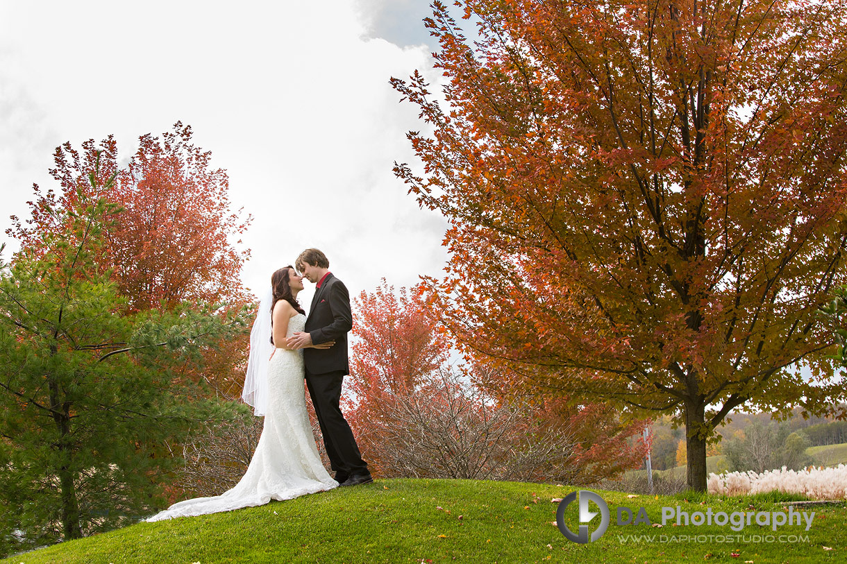 Hockley Valley Wedding