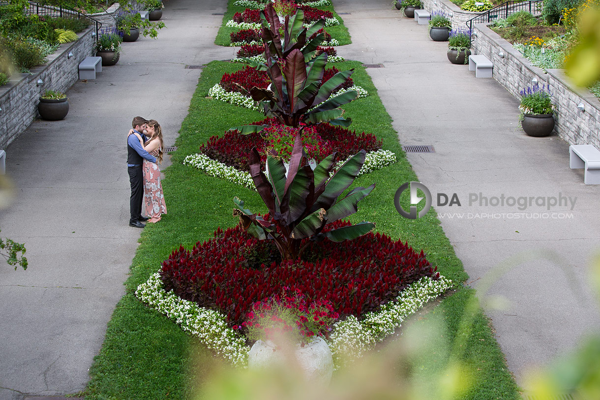 Hendrie Park Engagements