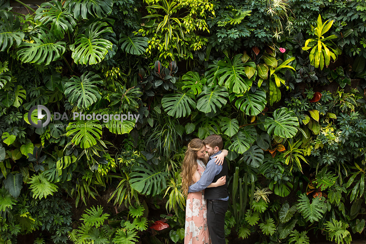 Engagement Photography at Royal Botanical Gardens