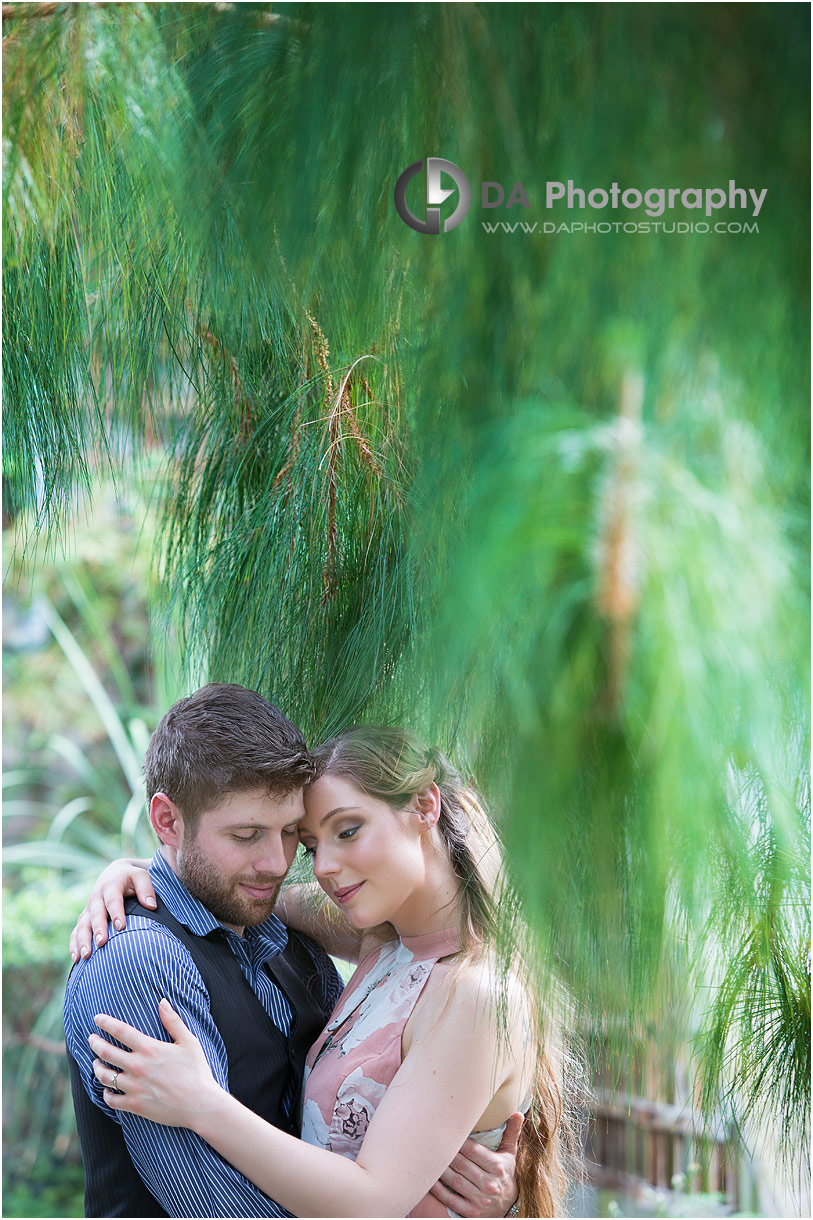 Green House Engagement Pictures at Royal Botanical Gardens