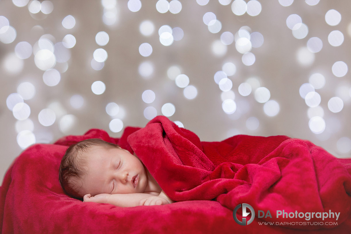 Christmas photos in Caledon