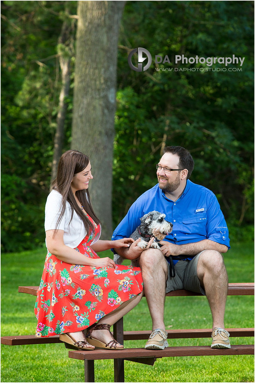 Niagara Engagement in St. Catharines