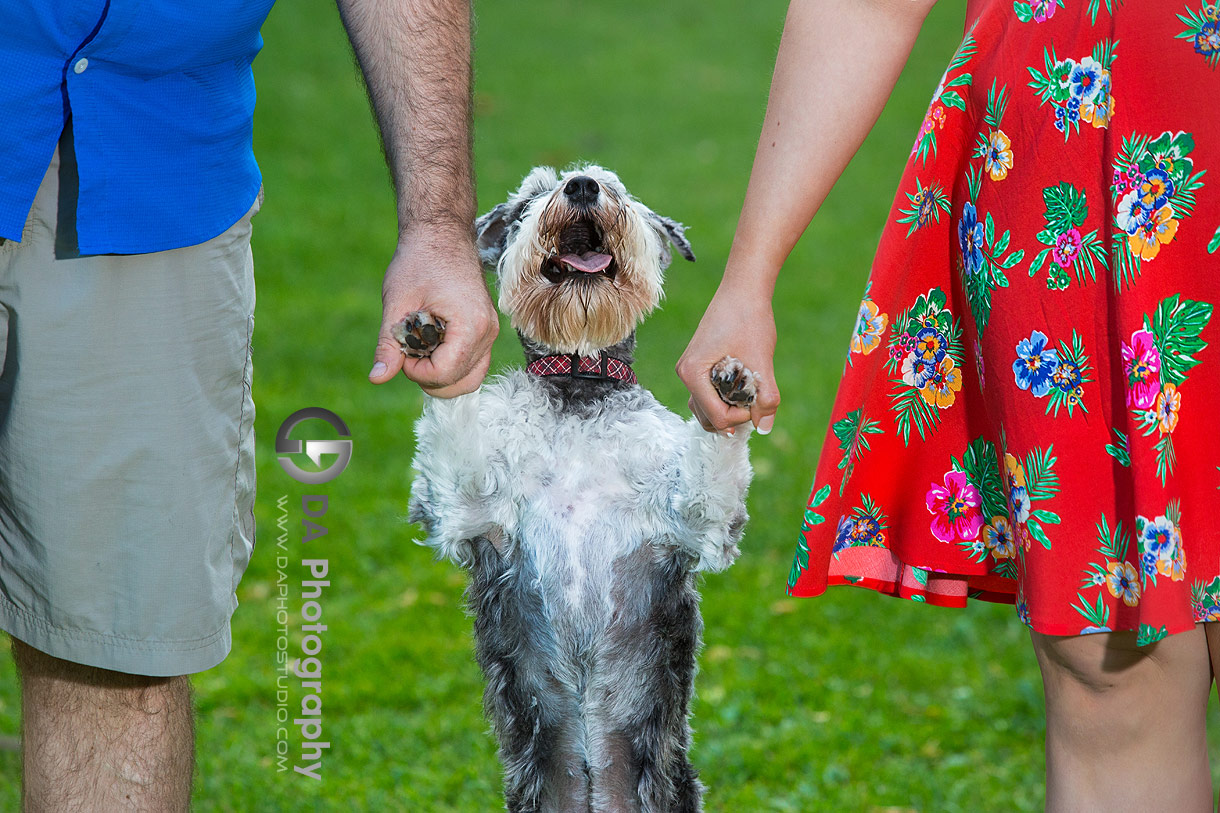 Engagement Photos at Happy Rolph’s Animal Farm