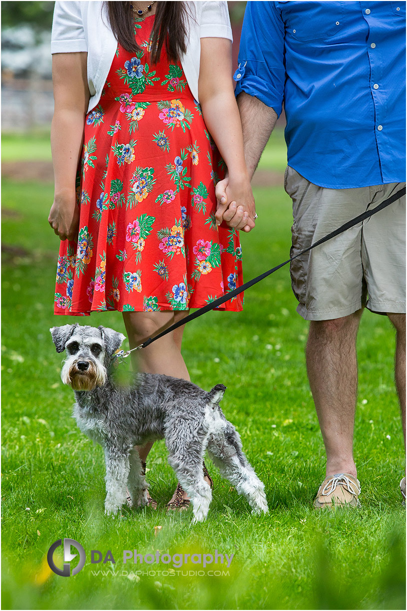 Engagement Photo at Happy Rolph’s Animal Farm