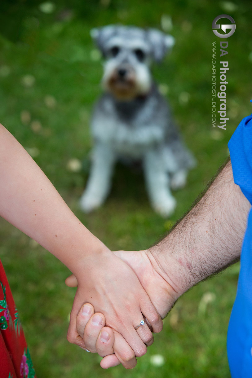 Niagara Engagements in St. Catharines