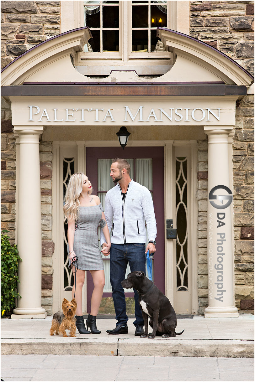 Casual engagement photos with dogs