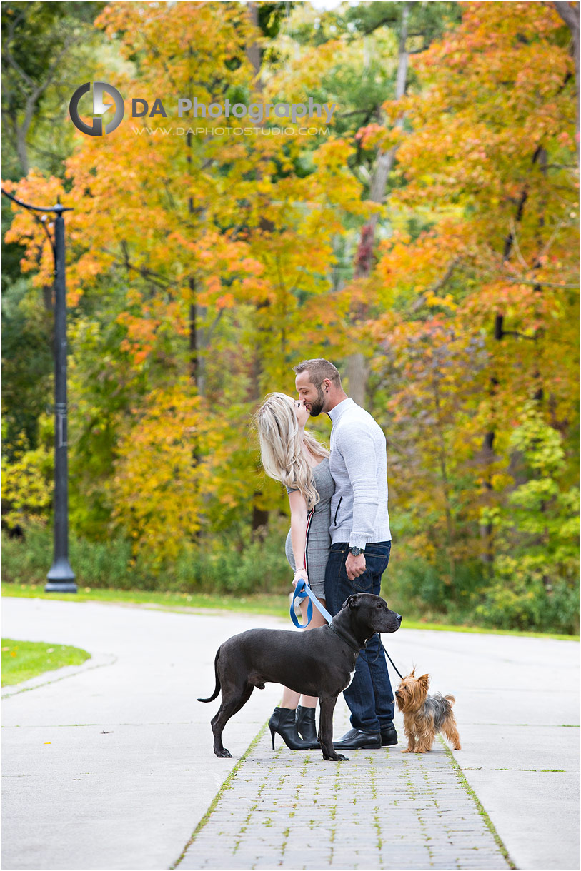 Engagement photo with dogs at Paletta Manson