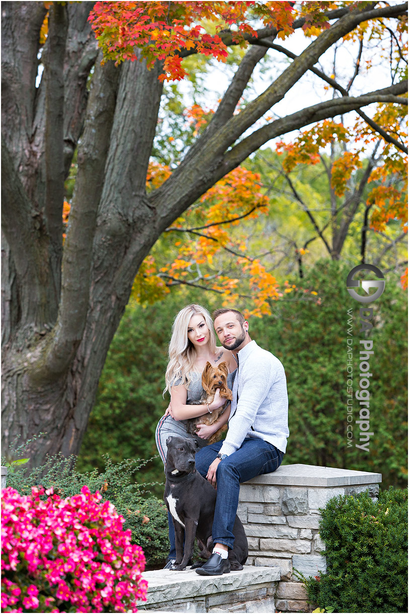 Engagement photo with dogs in fall