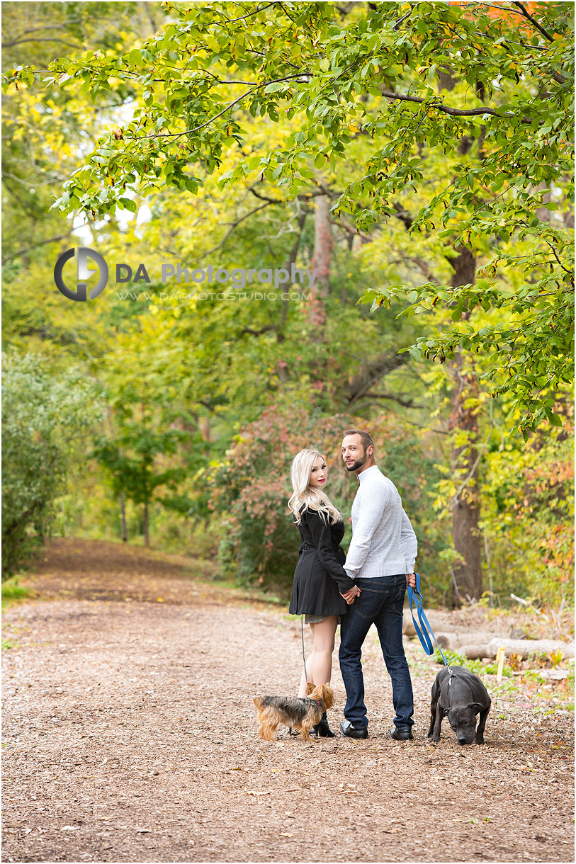 Engagement photos with dogs in a forest