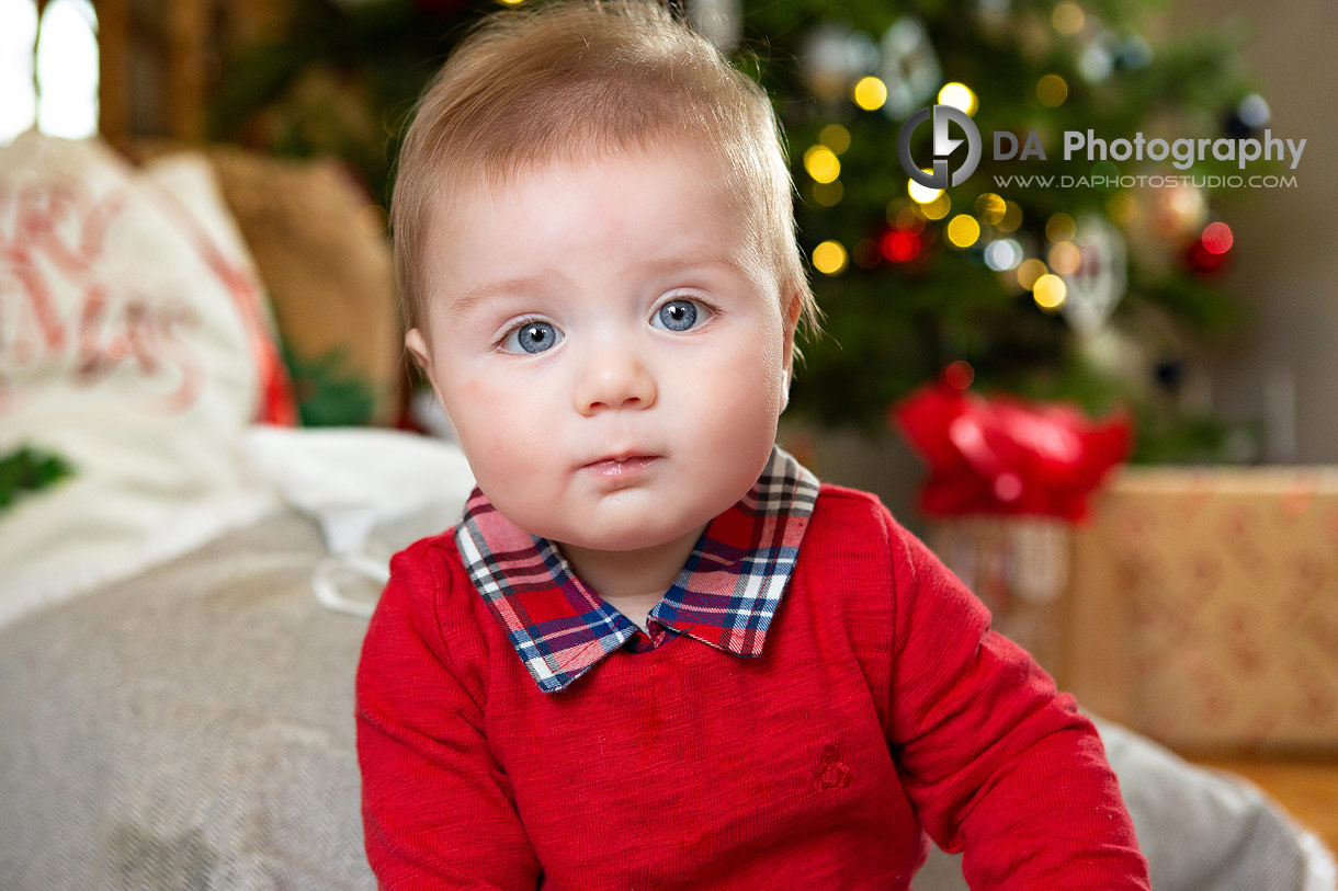 Baby Holiday Portrait