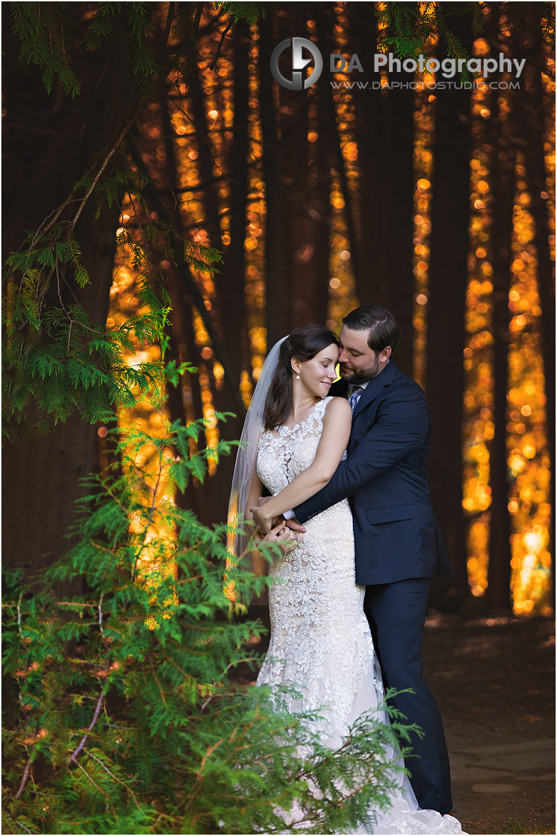 Photographs at Millcroft Inn