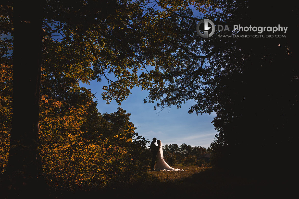 Best Elopement Pictures in Alton