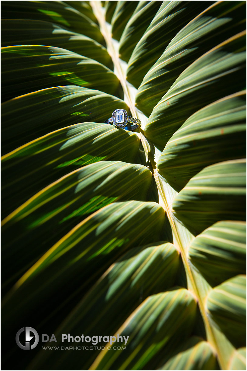 Punta Cana Wedding Photography