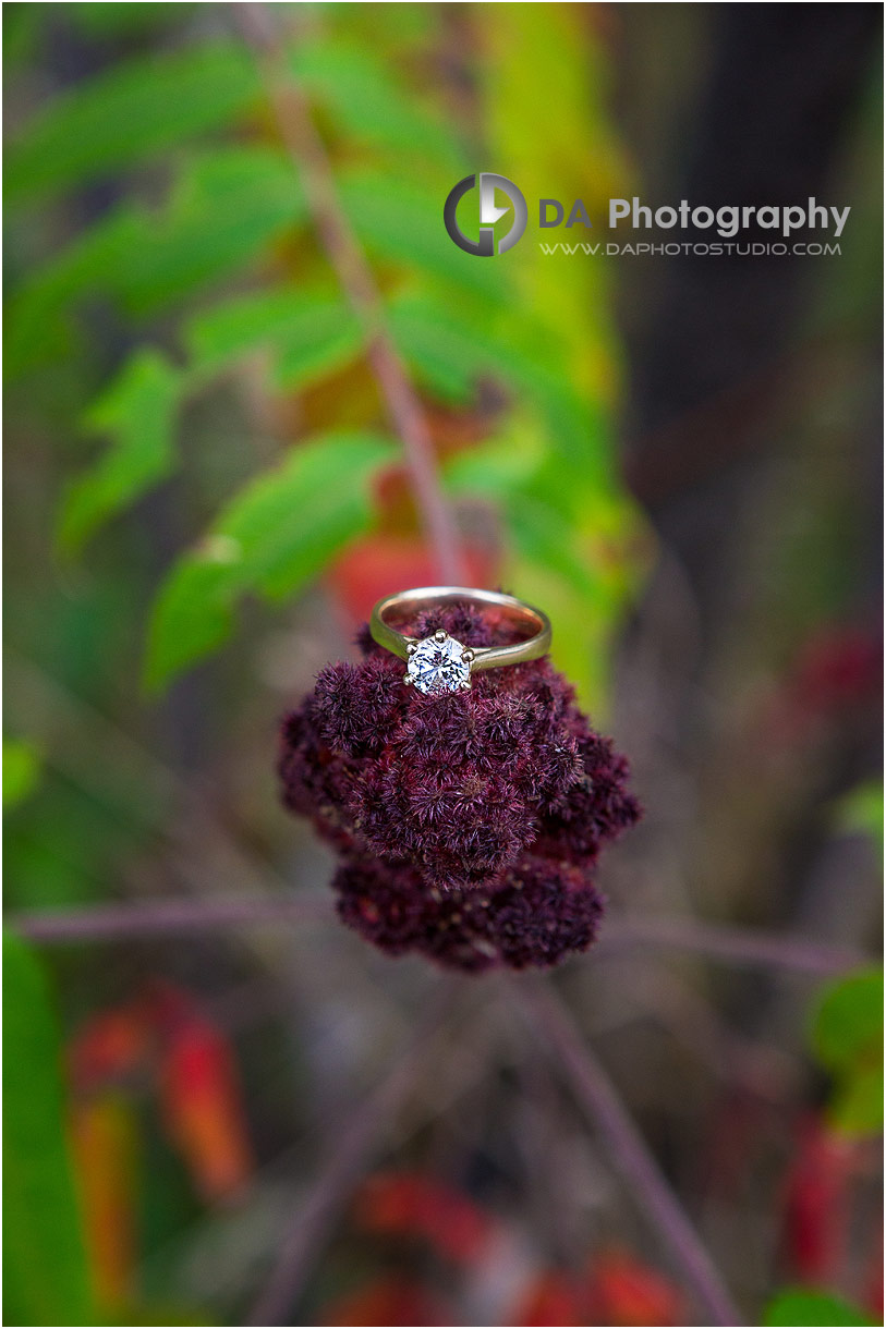 Top Engagement Photographers in Guelph