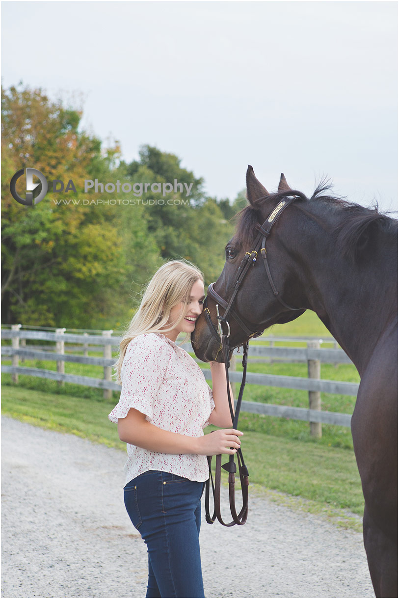 Horse Stable Photographs