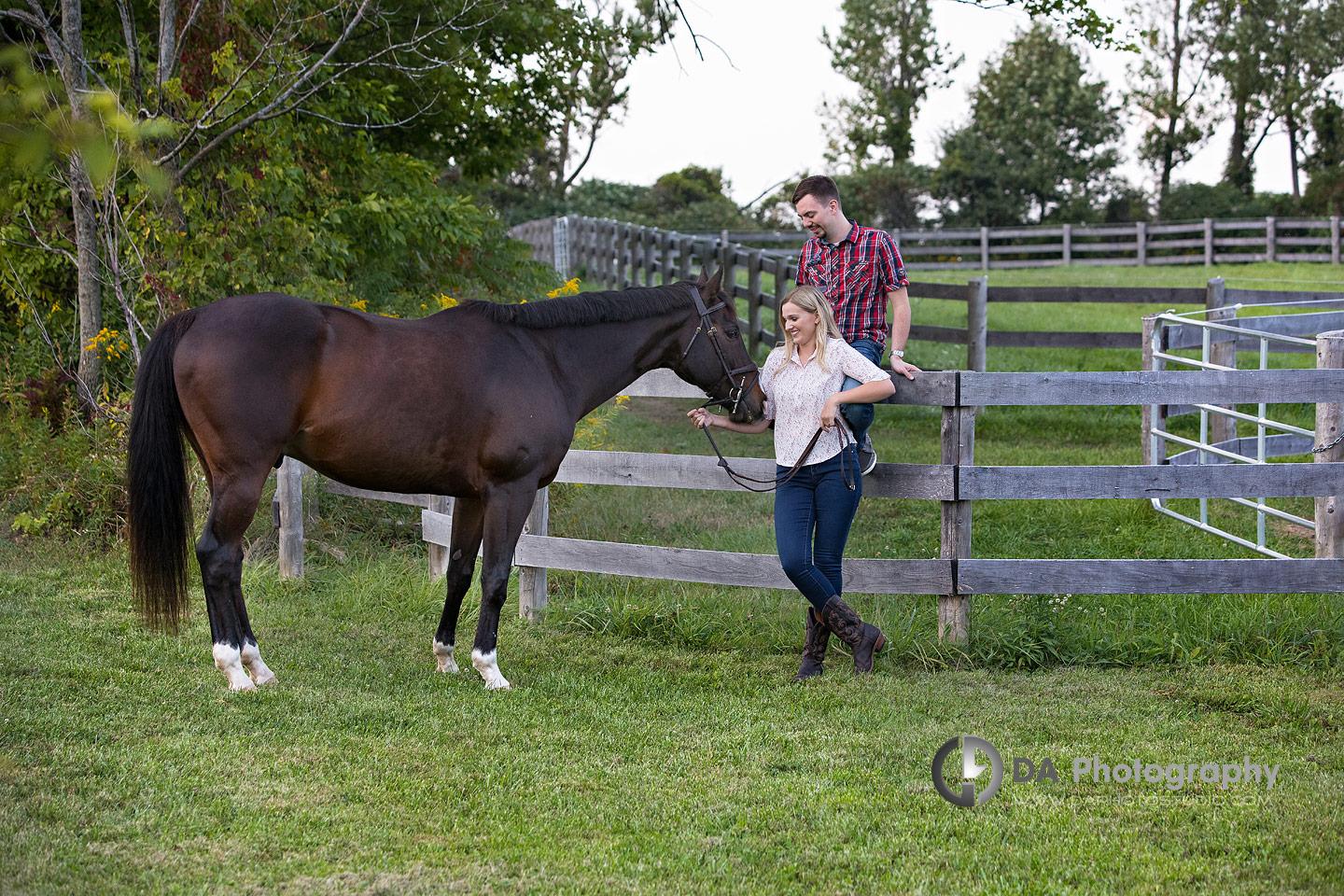 Horse Stable Engagements in Milton